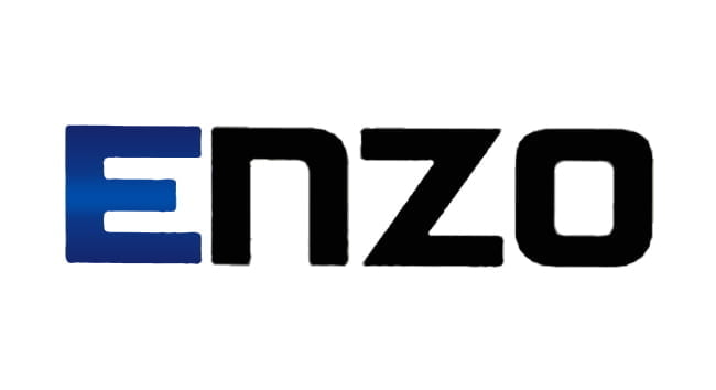 دسته بندی ENZO